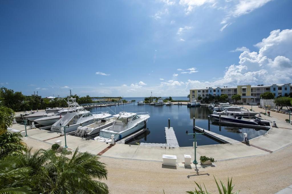 Licensed Mgr - 3/3.5 Modern Villa - Key Largo'S Premier Oceanfront Resort And Marina! Ngoại thất bức ảnh